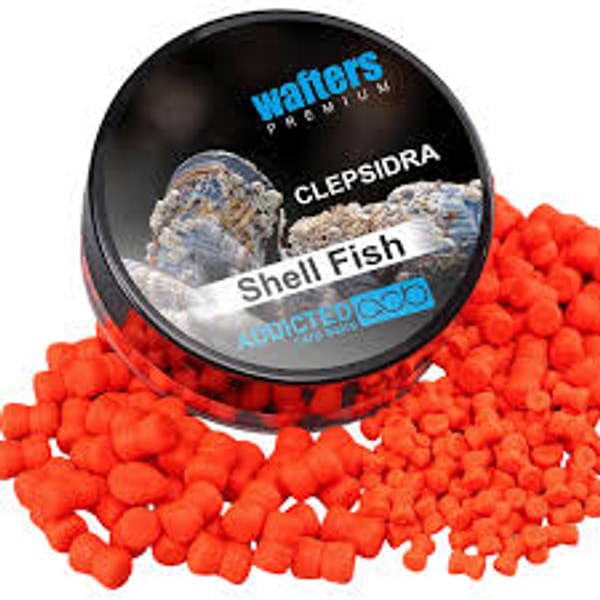 WAFTERS PREMIUM CLEPSIDRA CROSTACEI