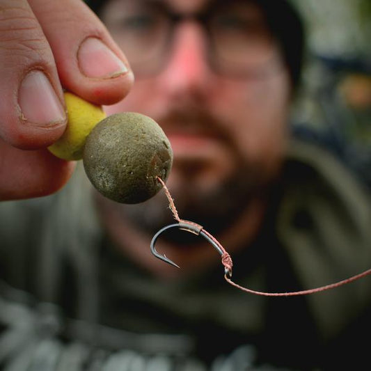 Boiles ZooFishing squid & spice