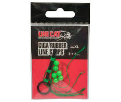 NODO PRONTO UNI CAT